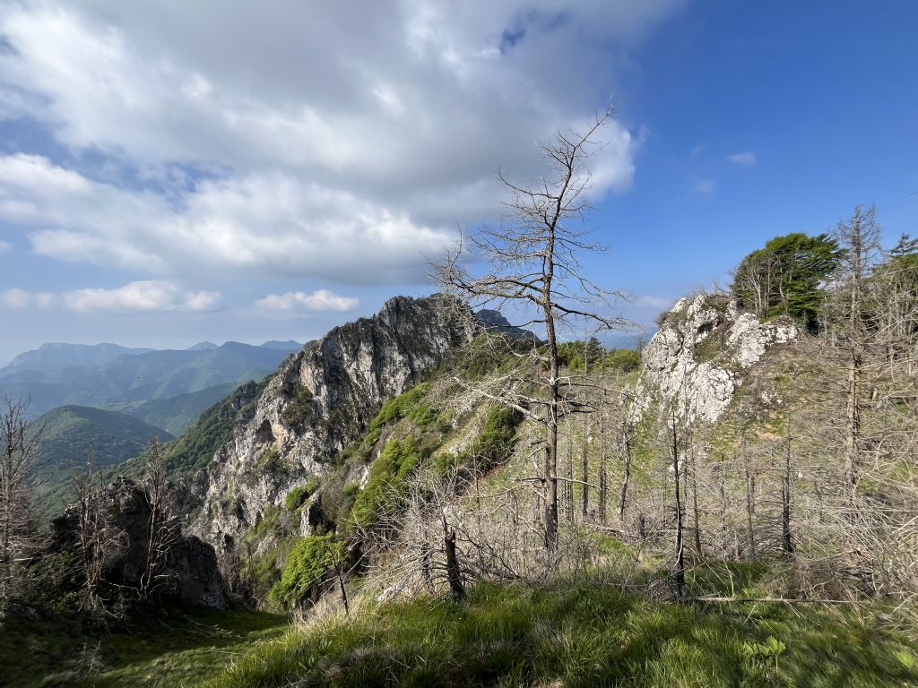 Bocca di Valle...Bondone (TN)